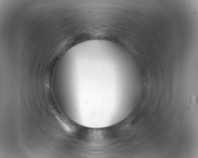 X0000081620710200701291453