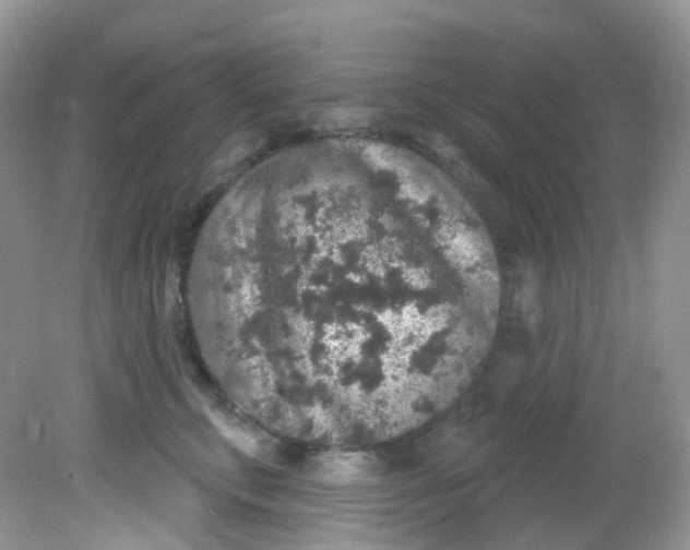 X0000081620711200701291453