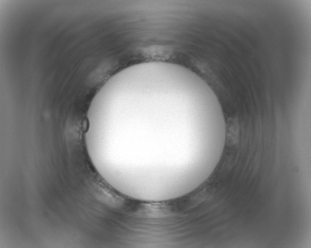 X0000081620713200701291453