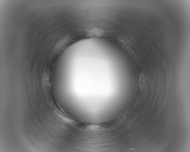 X0000081620714200701291453