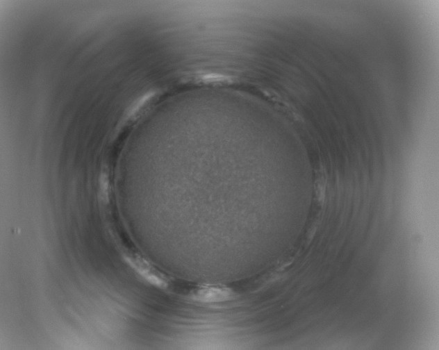 X0000081620716200701291453