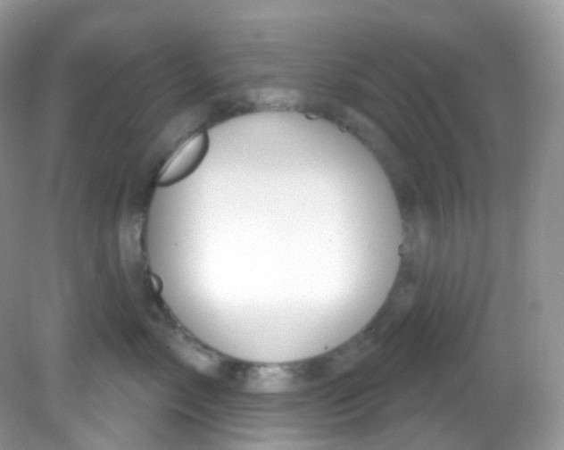 X0000081620717200701291453