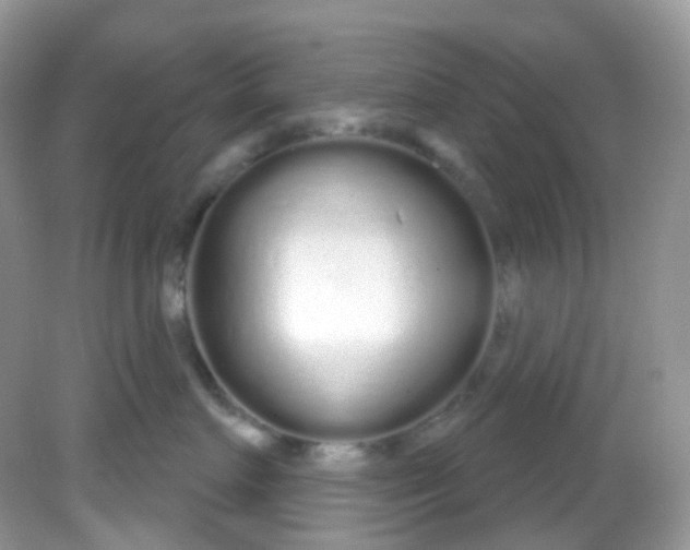 X0000081620719200701291453