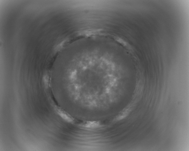 X0000081620720200701291453