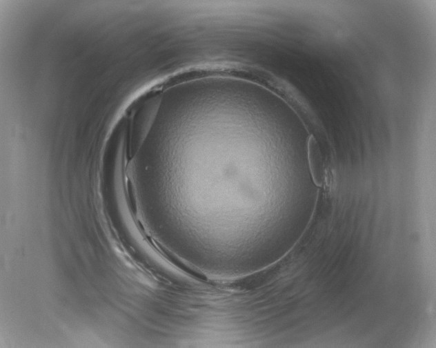 X0000081620724200701291452