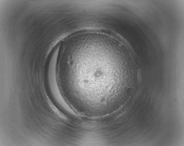 X0000081620725200701291452