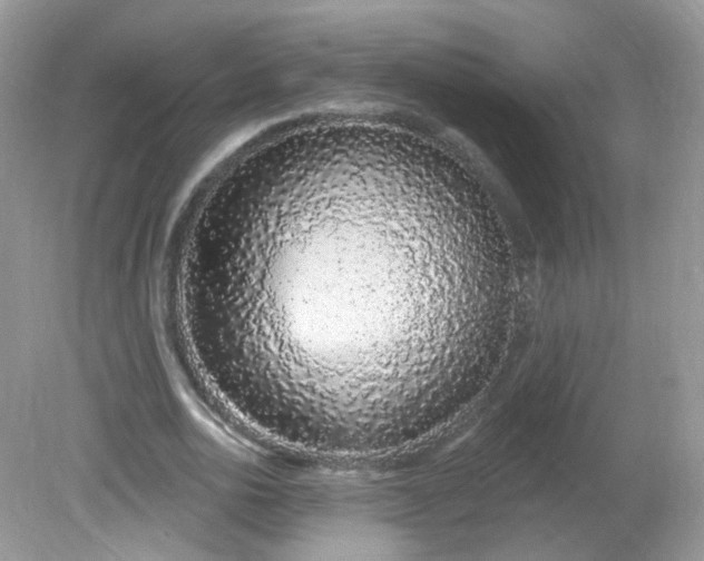 X0000081620726200701291452