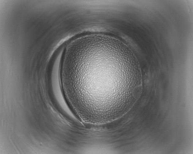 X0000081620727200701291452
