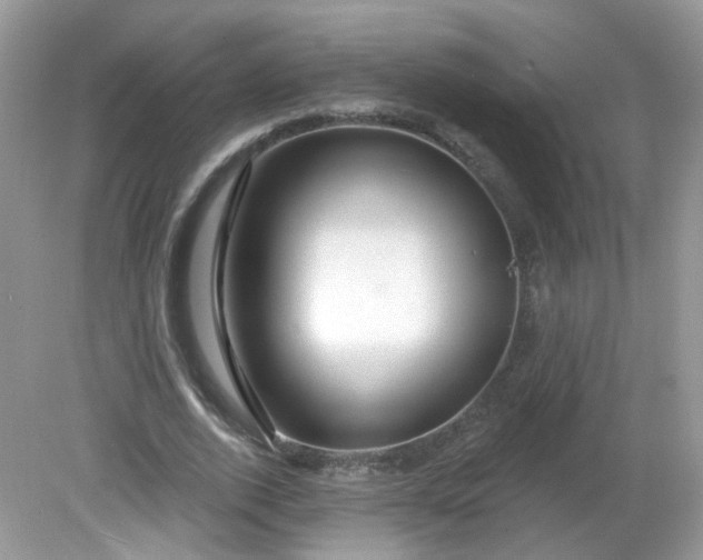 X0000081620728200701291452