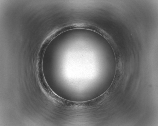 X0000081620730200701291452