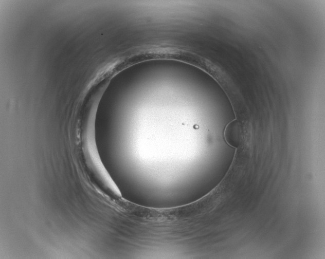 X0000081620731200701291452