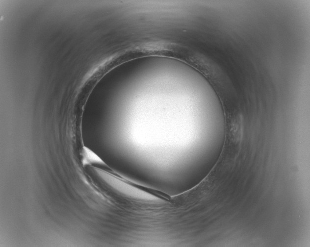 X0000081620732200701291452