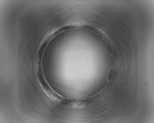 X0000081620736200701291452