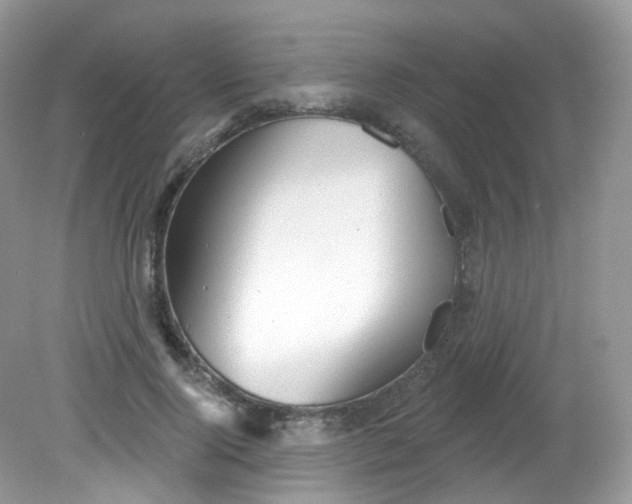 X0000081620740200701291452