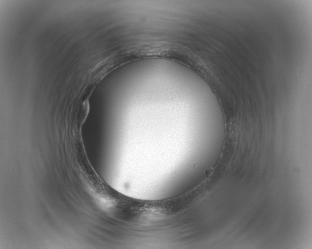 X0000081620741200701291452