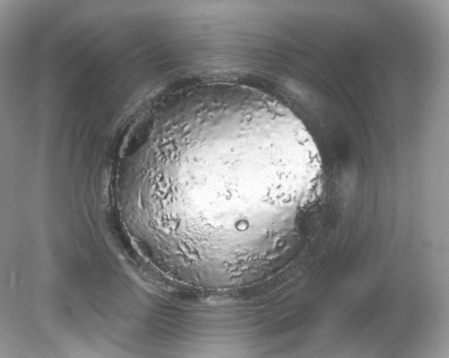 X0000081620742200701291452