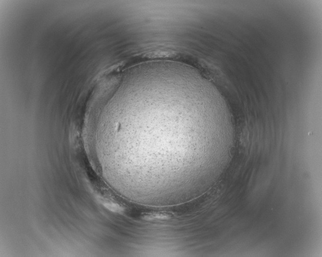 X0000081620743200701291452