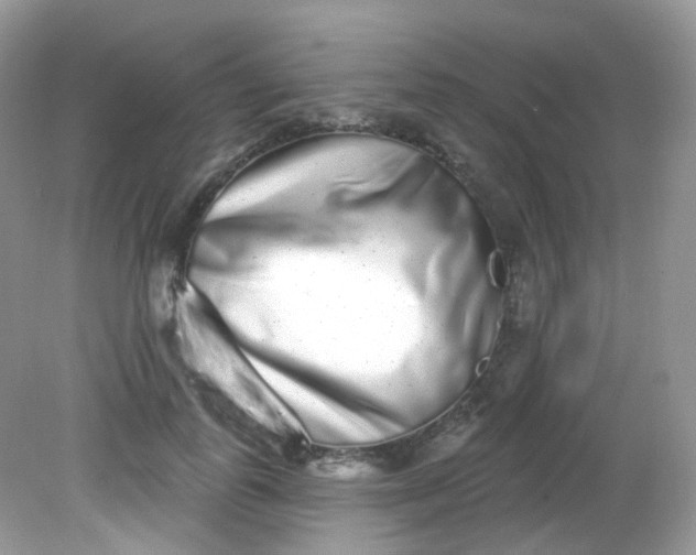 X0000081620747200701291452