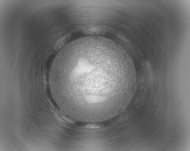 X0000081620749200701291452