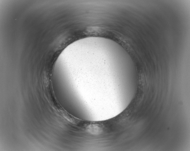X0000081620751200701291452