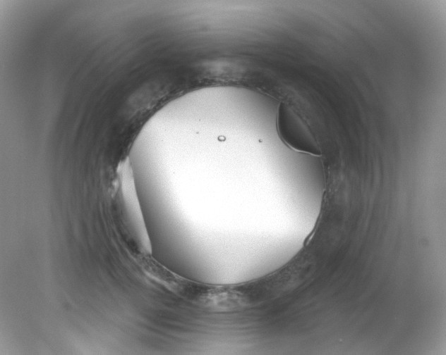 X0000081620752200701291452