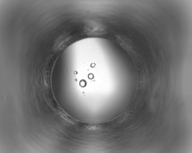 X0000081620755200701291452