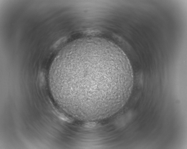 X0000081620757200701291453