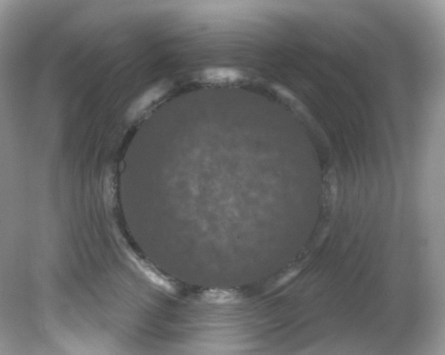 X0000081620762200701291453