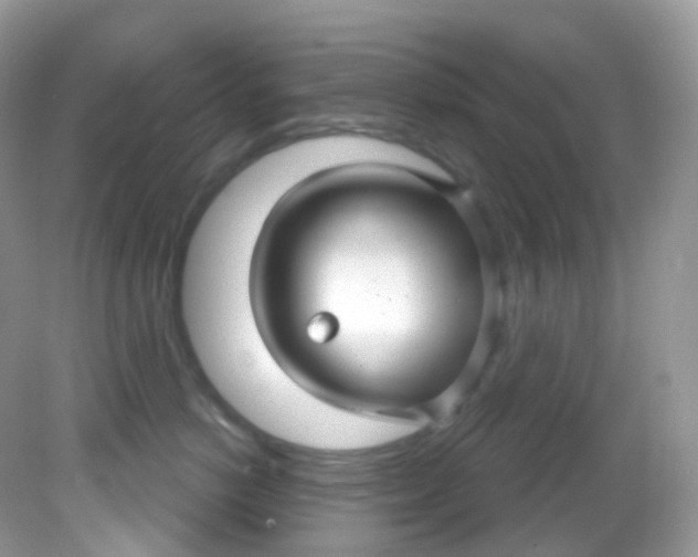 X0000081620766200701291453
