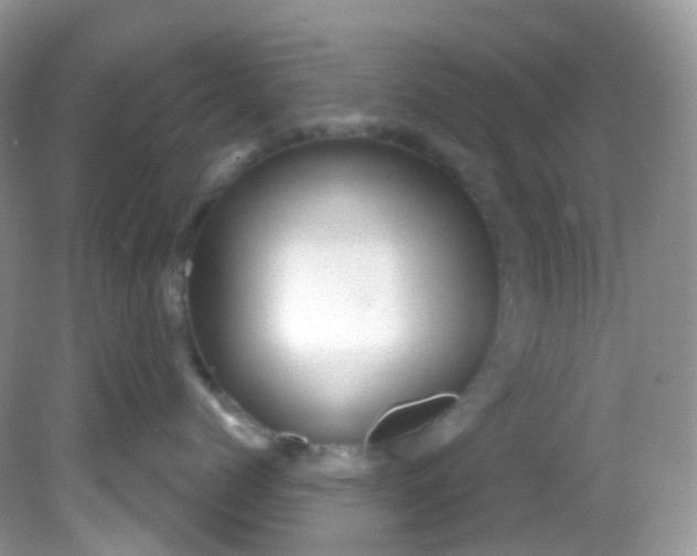 X0000081620768200701291453