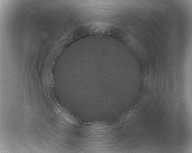 X0000081620769200701291452