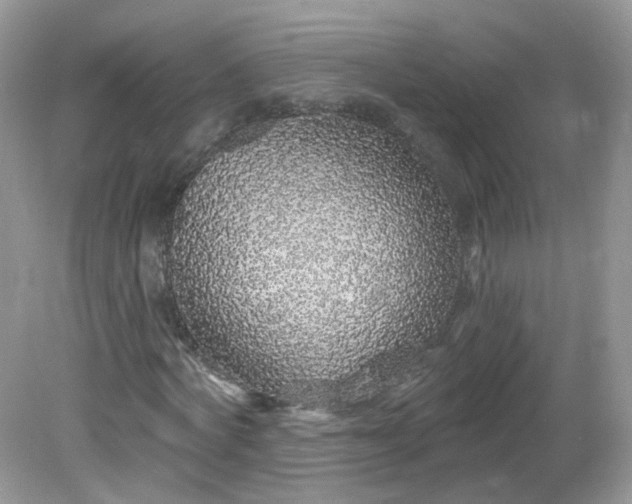 X0000081620772200701291452