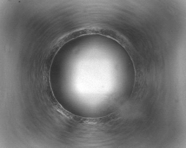 X0000081620773200701291452