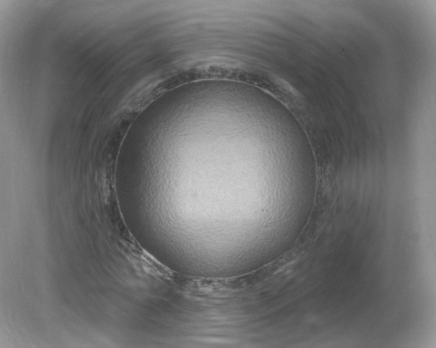 X0000081620774200701291452