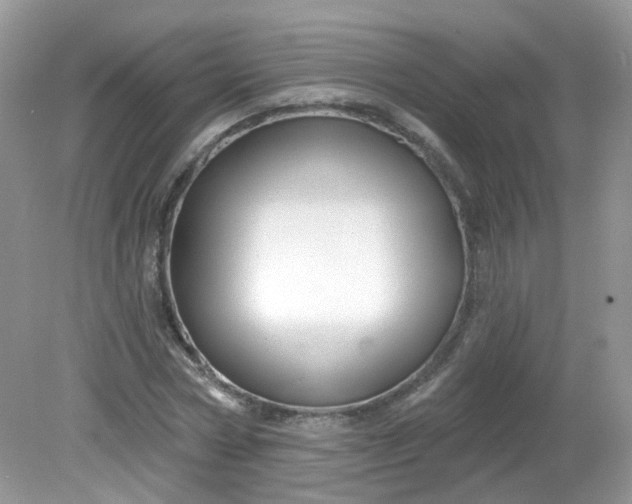 X0000081620778200701291452