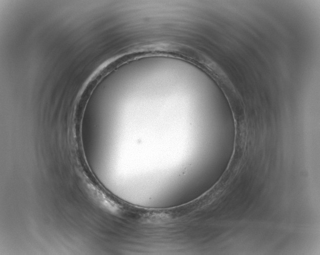 X0000081620784200701291452