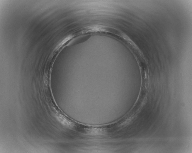 X0000081620785200701291452