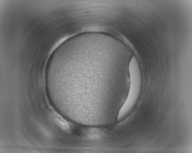 X0000081620787200701291452