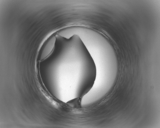 X0000081620788200701291452