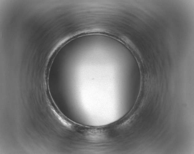 X0000081620789200701291452
