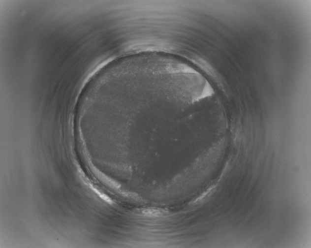 X0000081620790200701291452