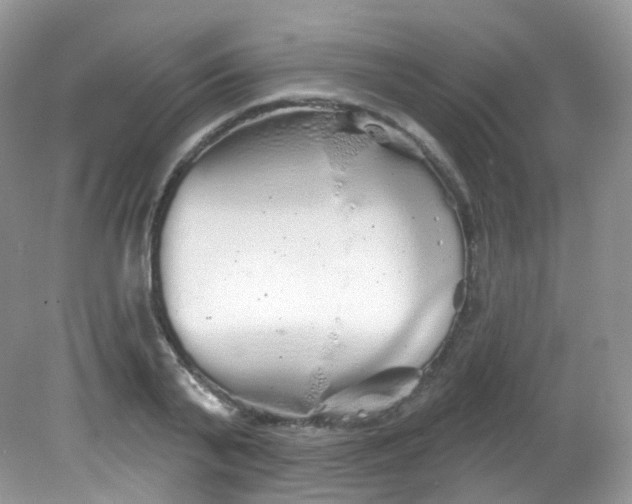 X0000081620791200701291452