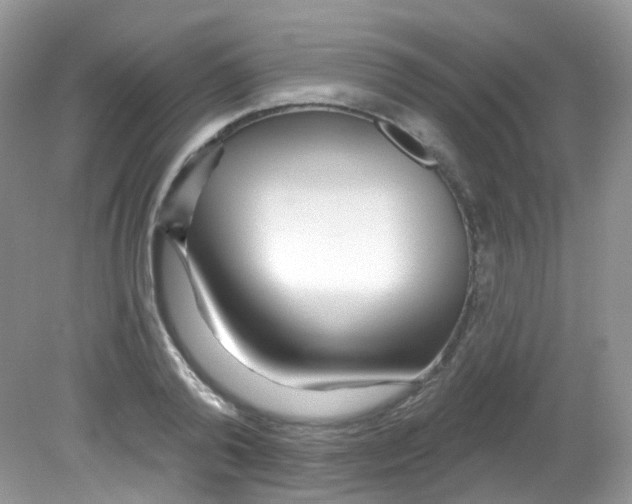 X0000081620792200701291452