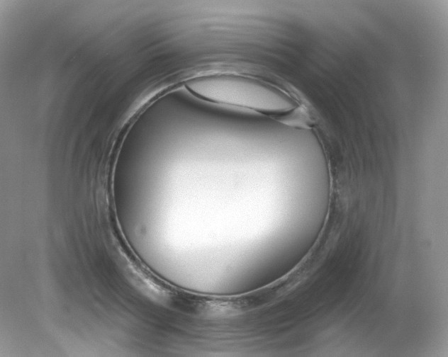 X0000081620794200701291451