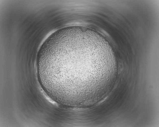 X0000081620796200701291451