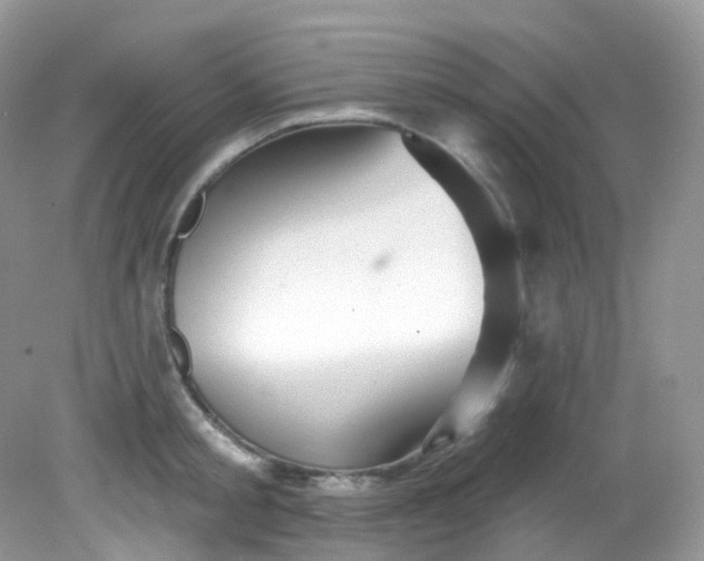 X0000081620805200701291451
