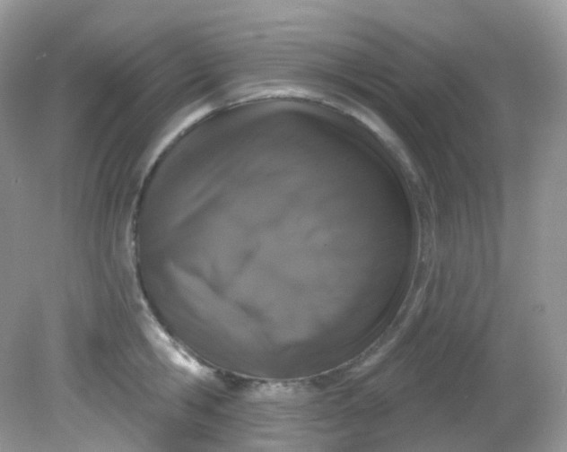 X0000081620806200701291451