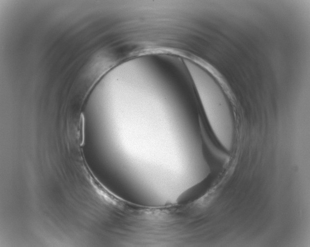 X0000081620809200701291451