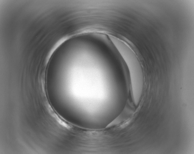 X0000081620812200701291451