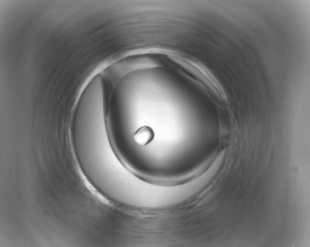 X0000081620813200701291451